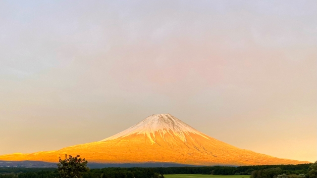 黄金富士山