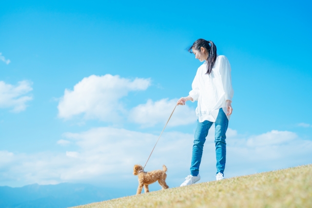 犬の散歩する女性