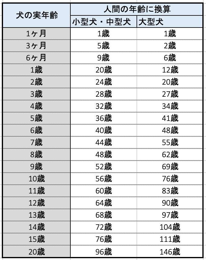 犬の年齢人間換算表