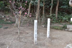 高麗神社高句麗由来高円宮殿下植樹