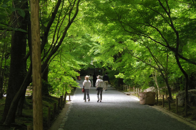 PENTAXレンズ撮影サンプル 06 TELEPHOTO ZOOM 京都