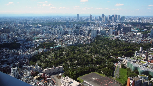 青山霊園2