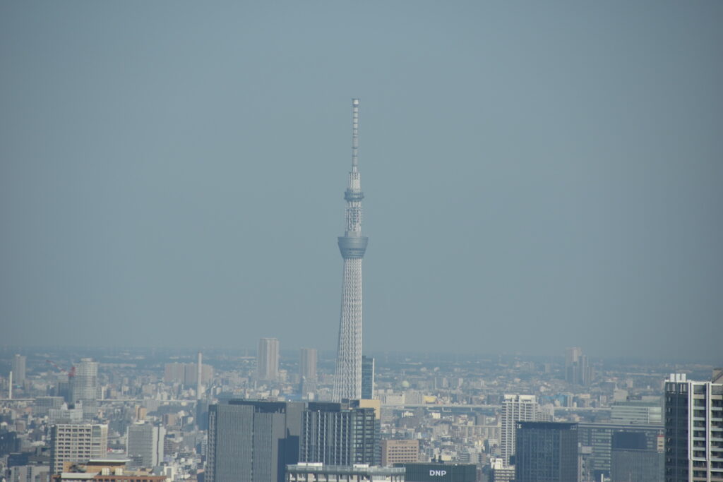 東京都庁展望室は無料です！この景色は圧巻！