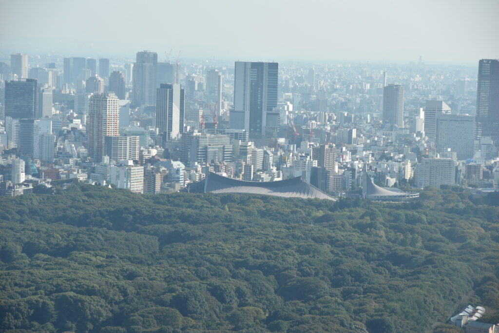 東京都庁展望室は無料です！この景色は圧巻！